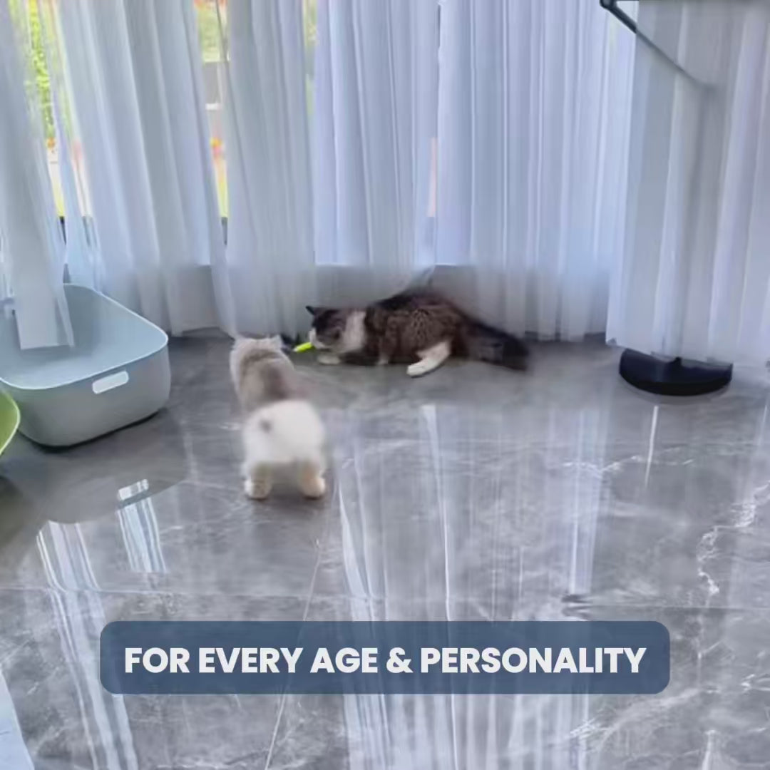 SPEED TAIL - PetsRyou