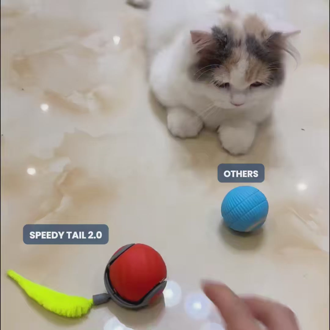 SPEED TAIL - PetsRyou