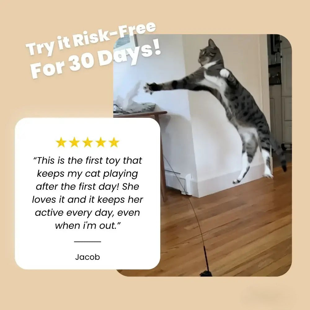 HAPPY HUNTER KIT - PetsRyou