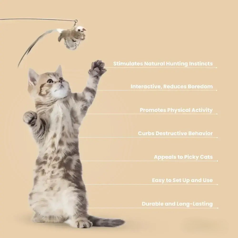 HAPPY HUNTER KIT - PetsRyou